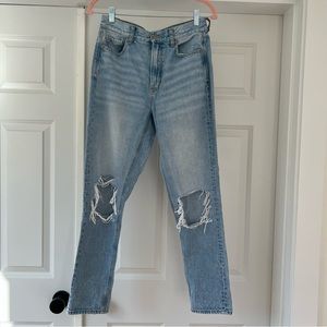 American Eagle Distressed Straight Jeans